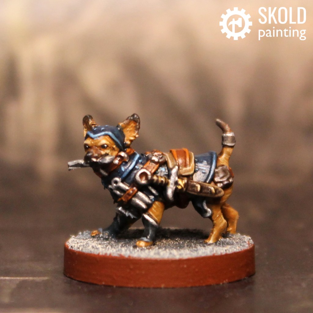 Tedric the Chihuahua Rogue